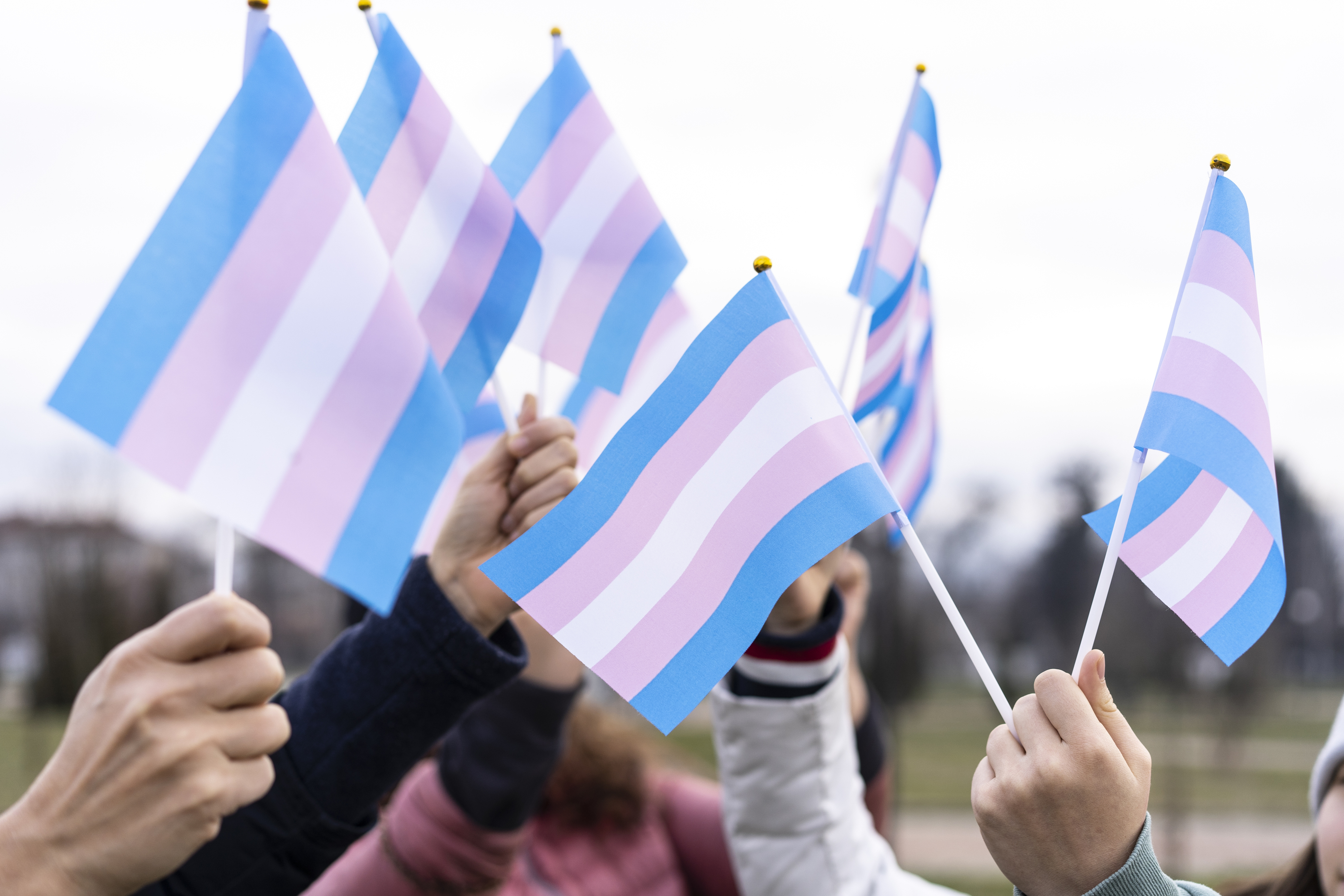 People holding the transgender flag