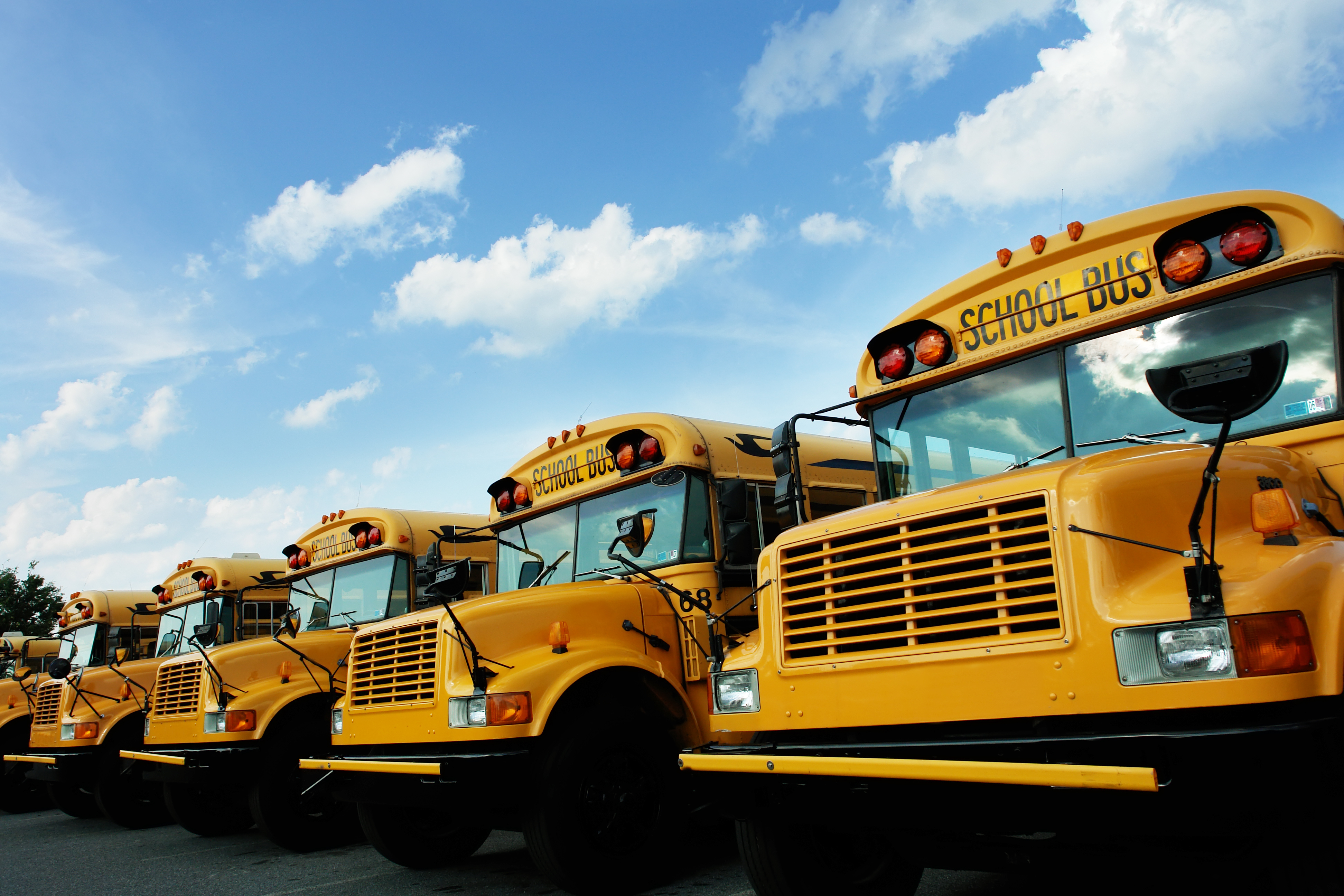 Picture of school buses in a line